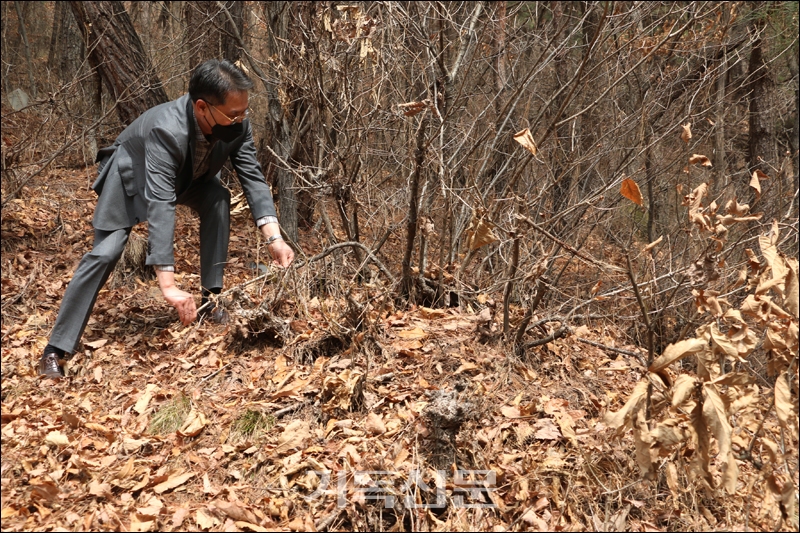 순교자 이창기 집사가 묻혀있는 경북 청도 임금산의 묘소. 비석은커녕 아무도 돌보는 이가 없어 봉분은 무너지고 잡목들이 뿌리를 내린 모습으로 방치된 상태이다.