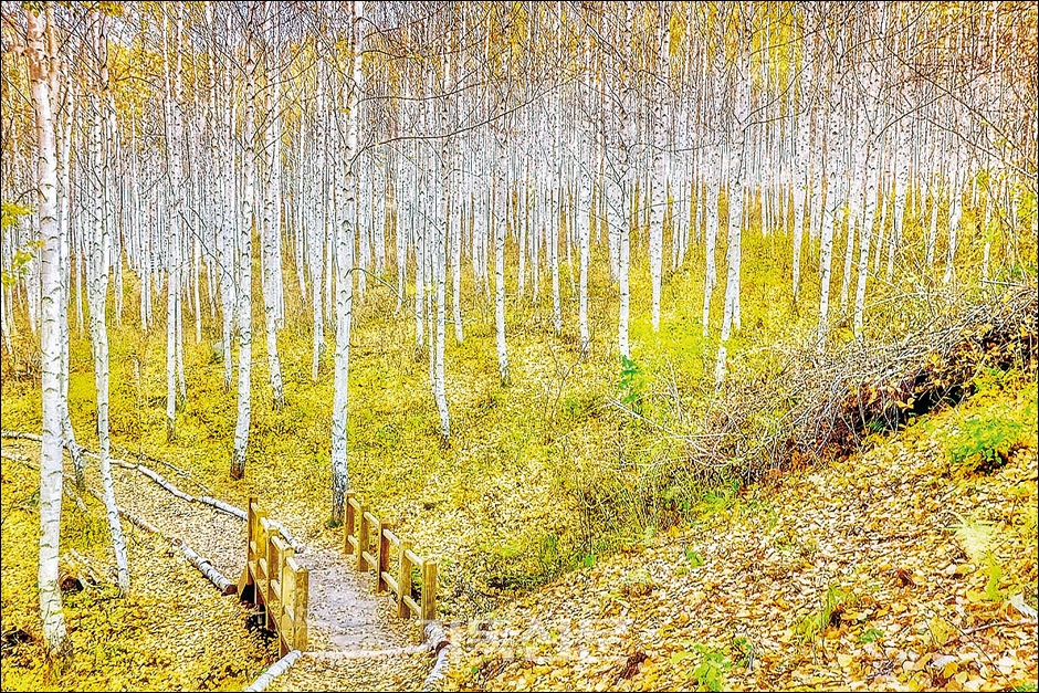 예수님으로 인해 구원받은 우리는 아브라함으로부터 시작된 복을 세상에 전하는 통로가 되어야합니다.