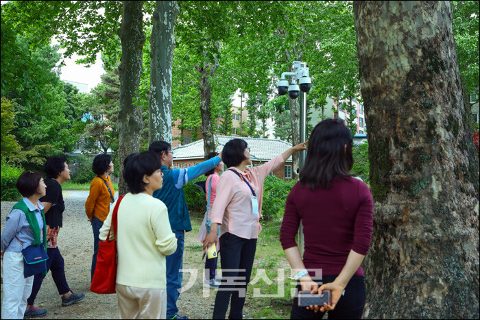 대전 오정동선교사촌을 탐방하는 관람객들의 모습.