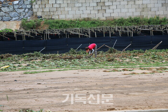 교회의 피해와 함께 성도들도 논과 밭을 잃어버리는 심각한 피해를 입었다. 성도들의 피해는 아직 파악도 못하고 있다. 