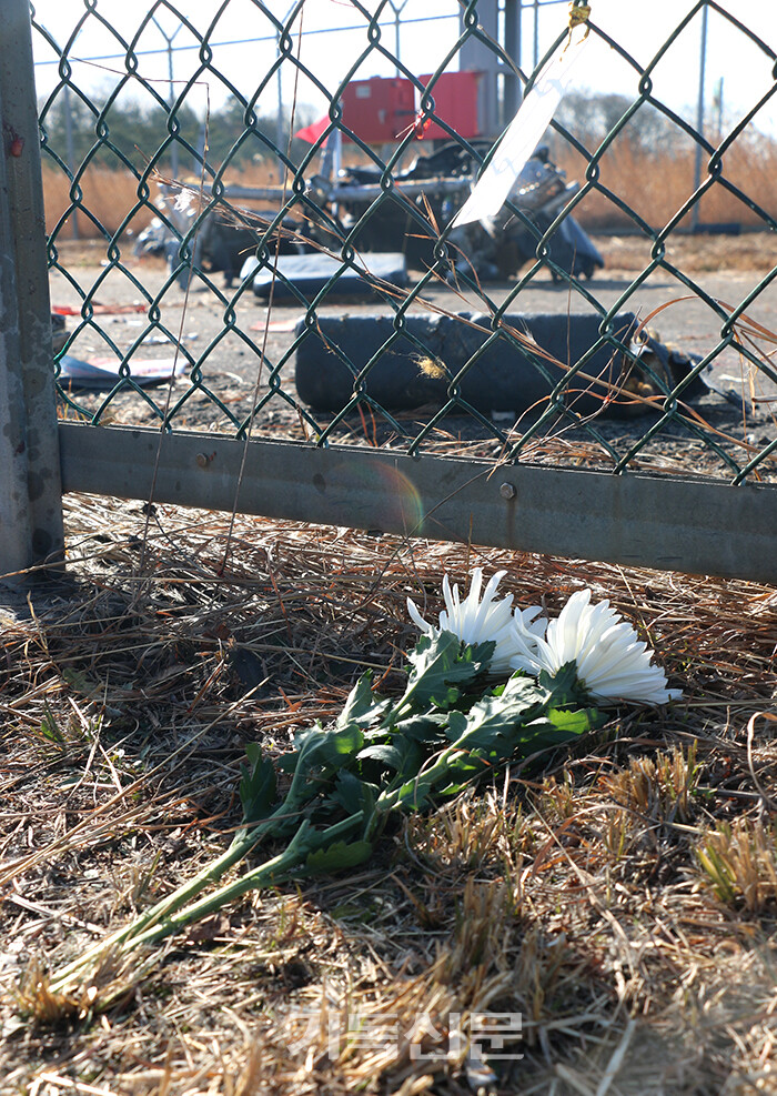 무안공항 외곽에 제주항공 여객기 폭발 잔해가 흩어진 가운데, 희생자들을 추모하는 국화송이가 놓여있다.