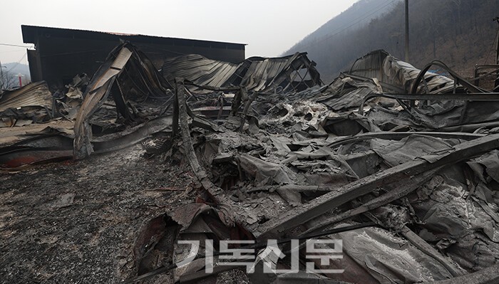 청송의 한 사과 저장창고가 화마로 인해 건물이 잿더미가 되었다. 산불로 인한 심각성을 잘 보여주고 있다. 