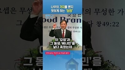 나무의 가지를 뻗지 못하게 하는 '담장'